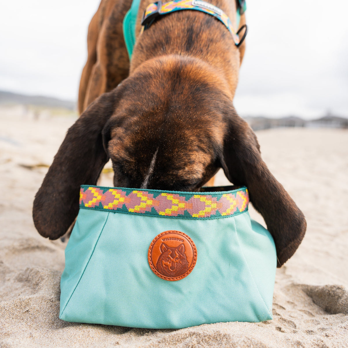 Packable Dog Travel Bowl product image 8