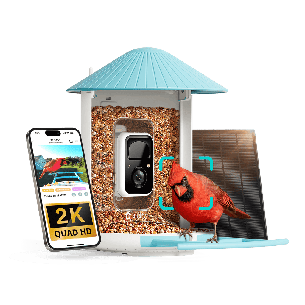 Smart Bird Feeder Camera product image 9