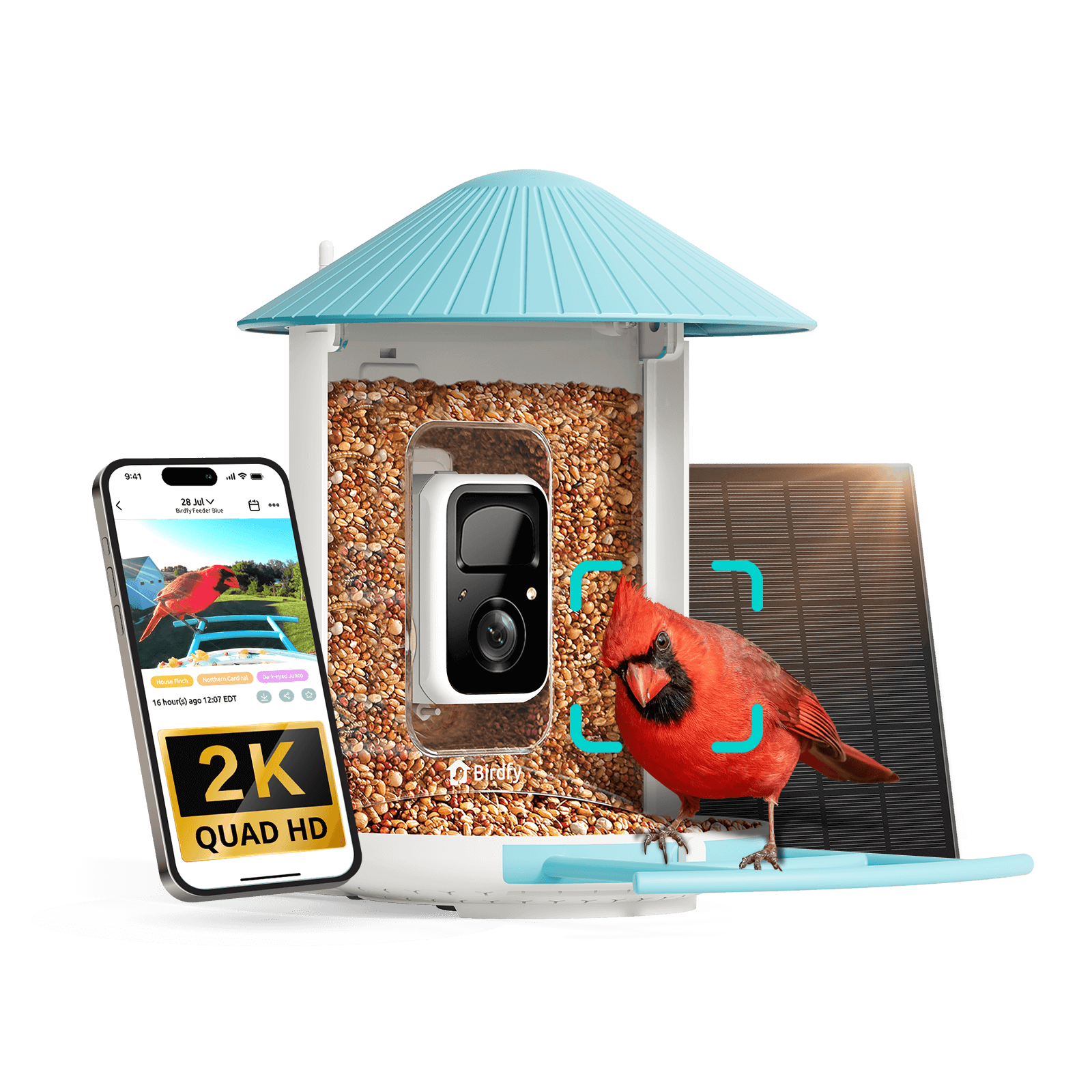 Smart Bird Feeder Camera product image 9