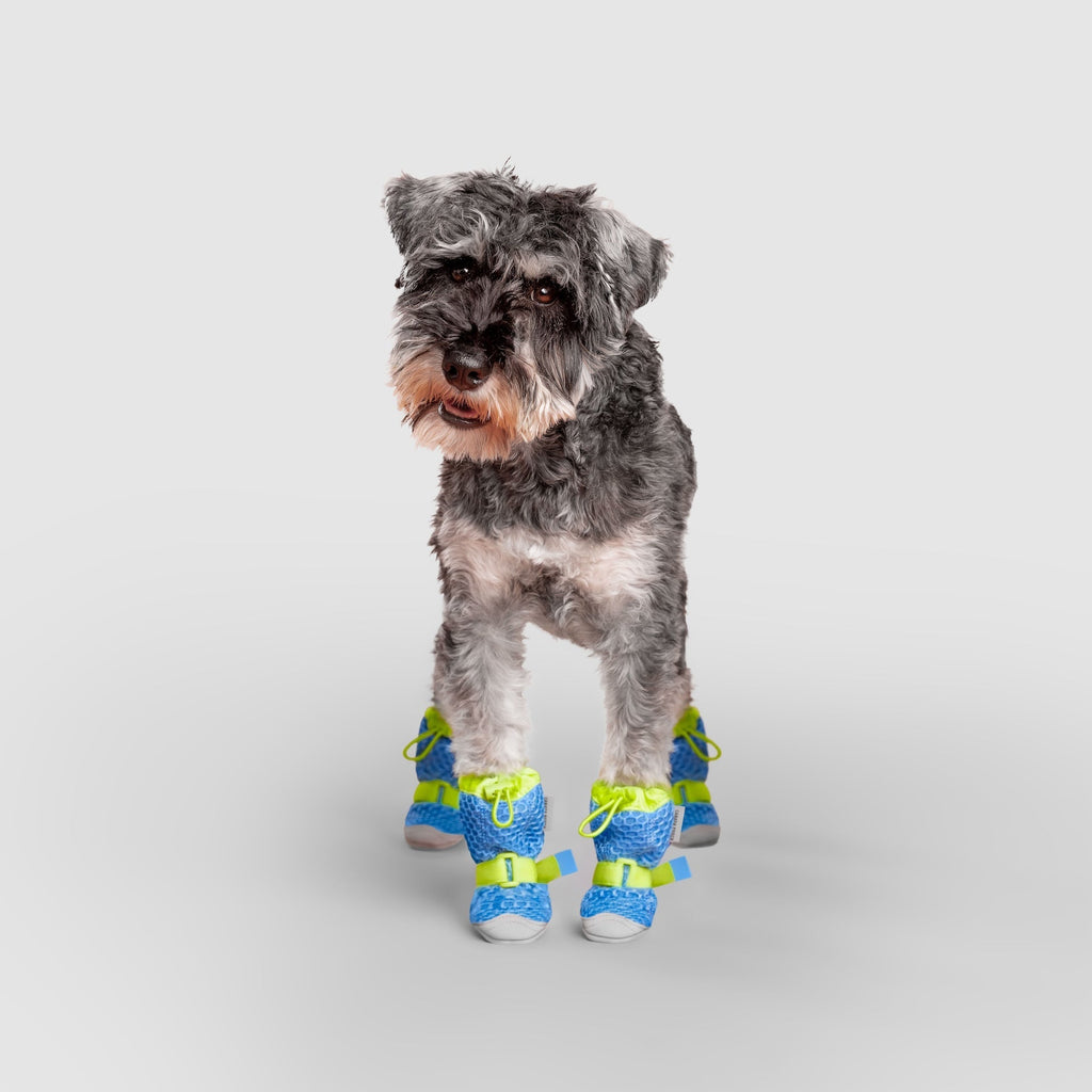 Hot Pavement Dog Boots product image 14