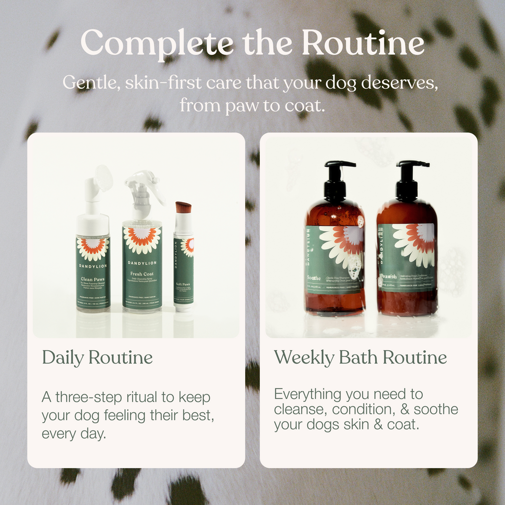 Dog Paw and Coat Care Set product image 7
