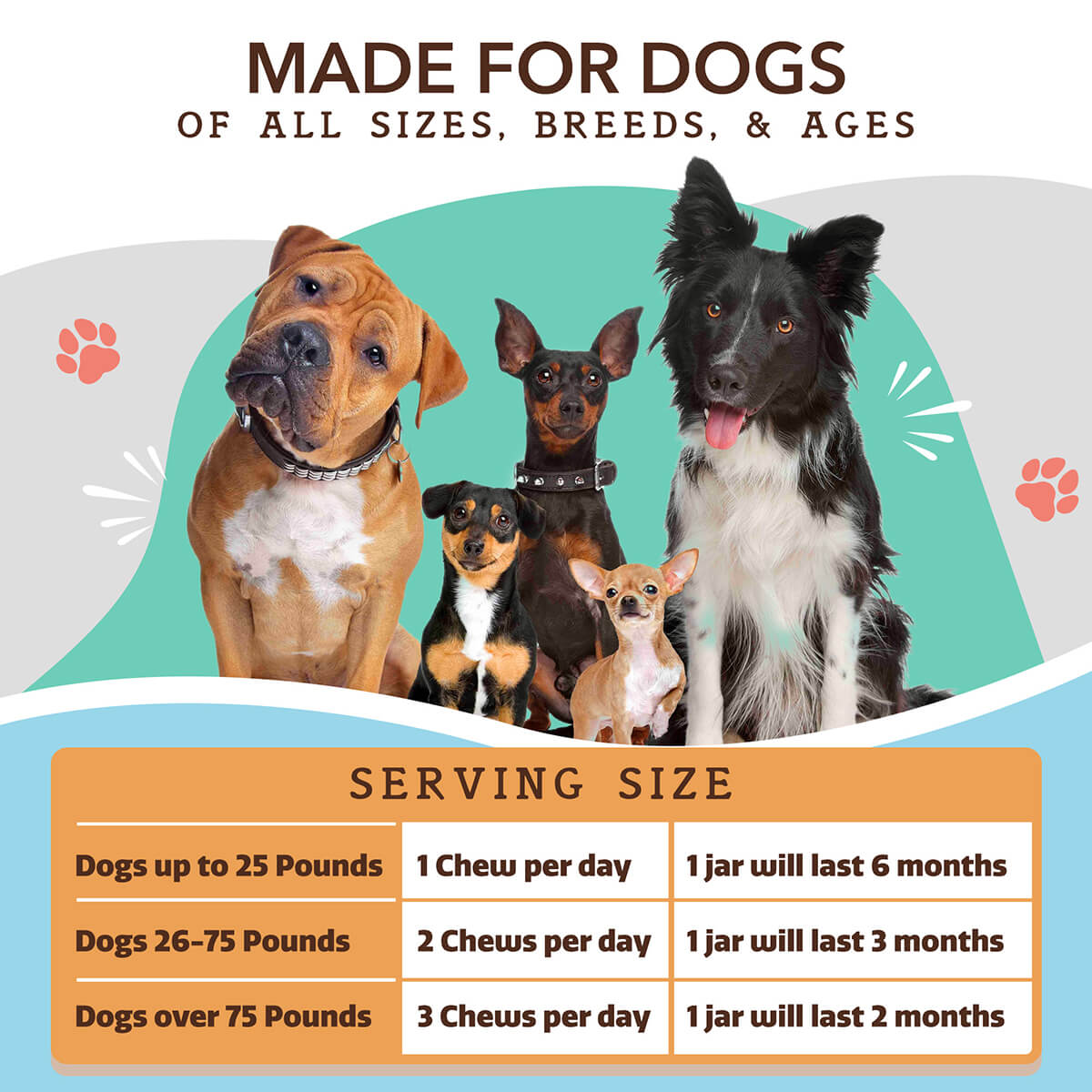 Dog Multivitamin Soft Chews product image 9