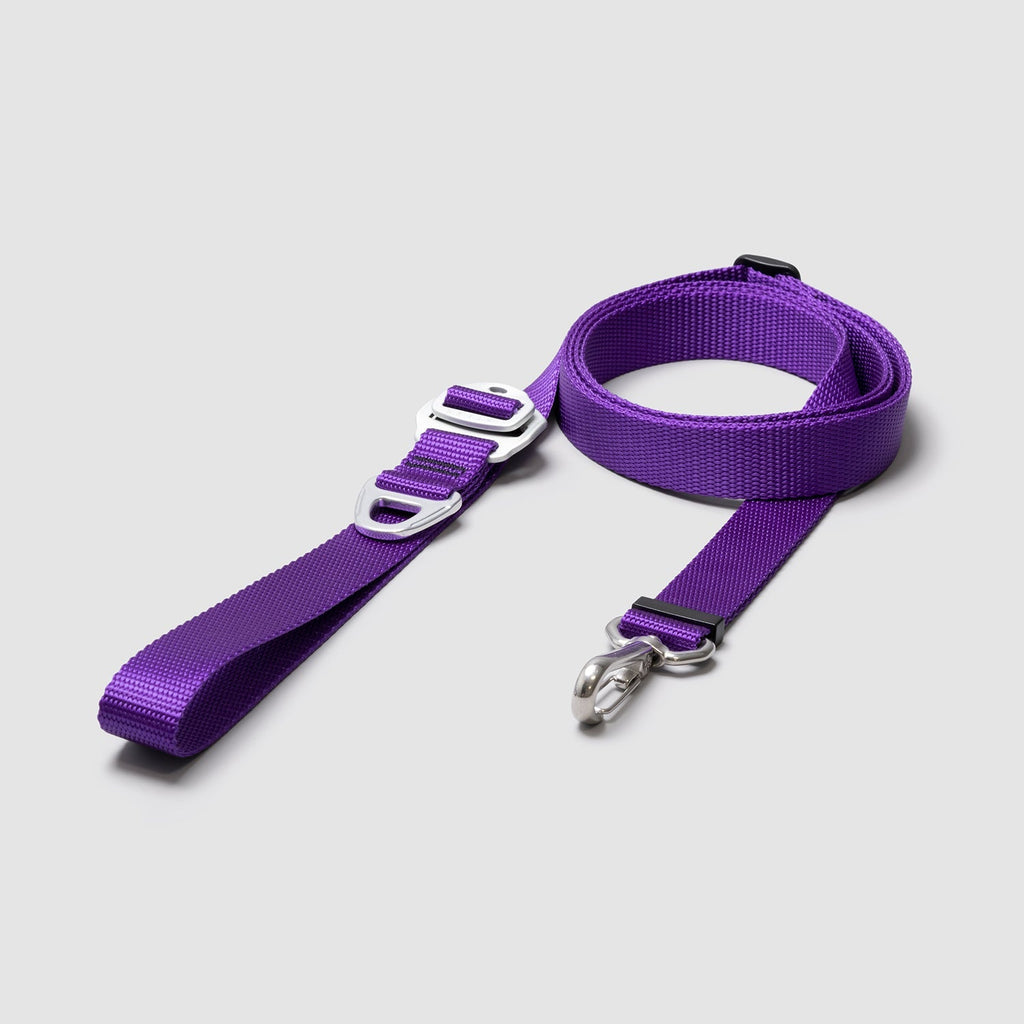 Adjustable Hands-Free Dog Leash product image 21
