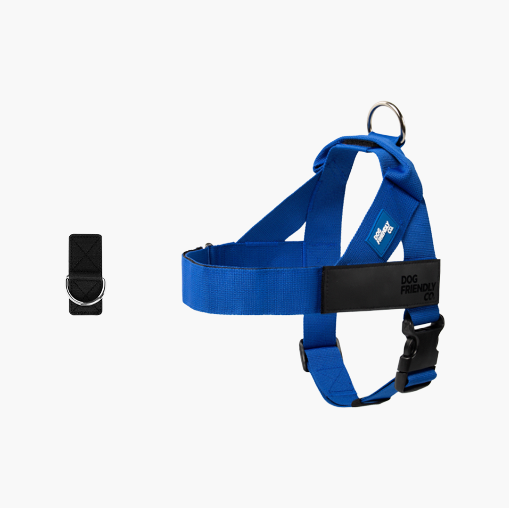 Adjustable Grab-Handle Dog Harness product image 40