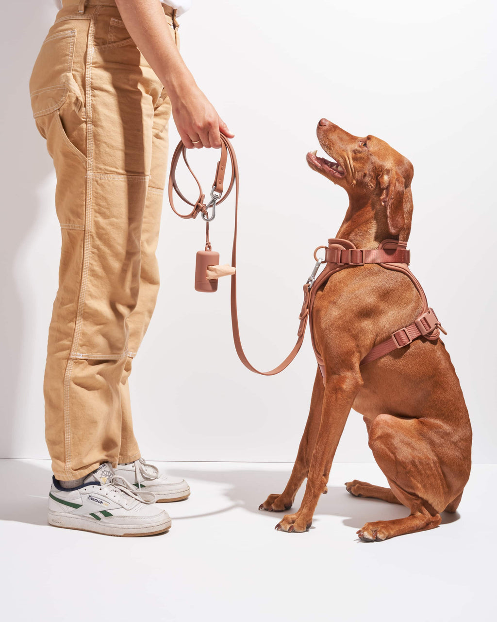 Leash-Attached Dog Waste Bag Dispenser product image 45
