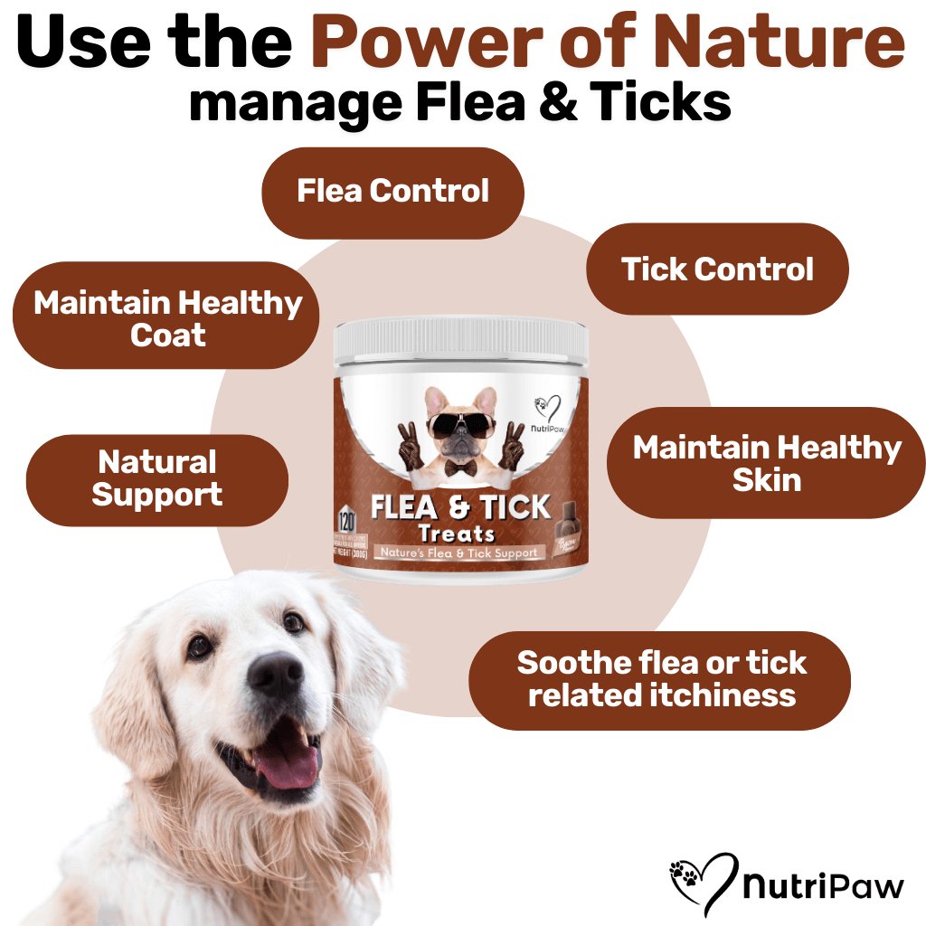 Flea and Tick Support Chews for Dogs product image 2