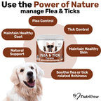 Flea and Tick Support Chews for Dogs product image 2