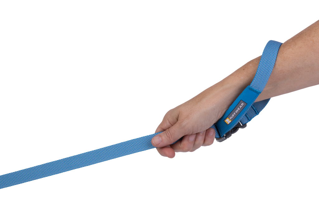 Hands-Free Dog Leash product image 13