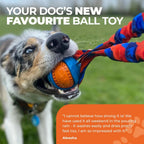 Pocket Bungee Ball Tug Toy product image 8
