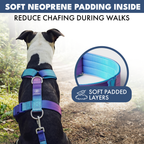 No-Pull Dog Harness product image 5