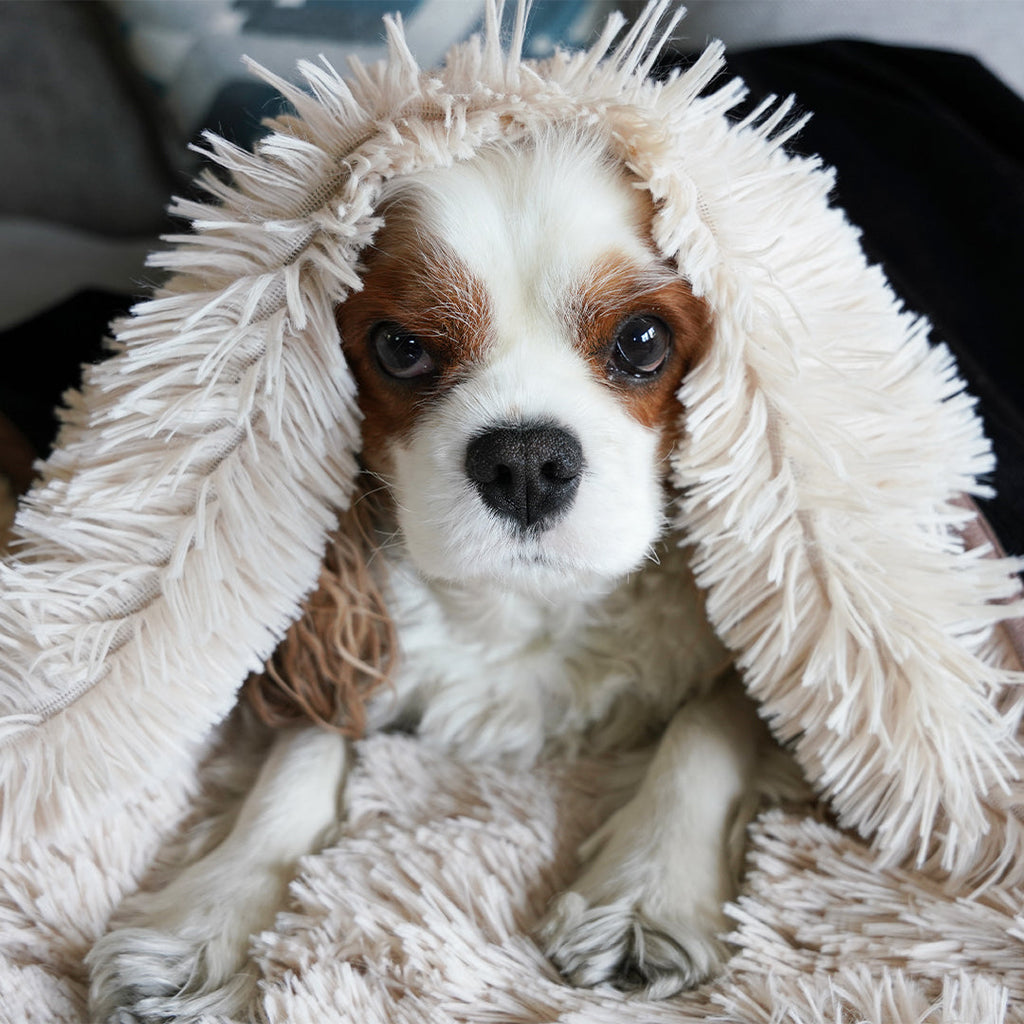 Waterproof Faux Fur Pet Throw Blanket product image 10
