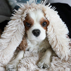Waterproof Faux Fur Pet Throw Blanket product image 10