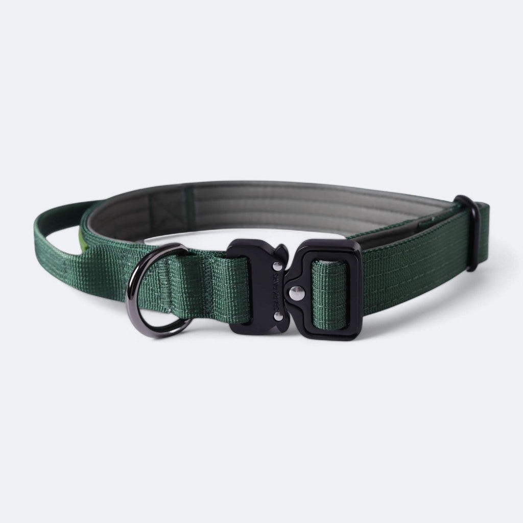 Control-Handle Dog Collar product image 8