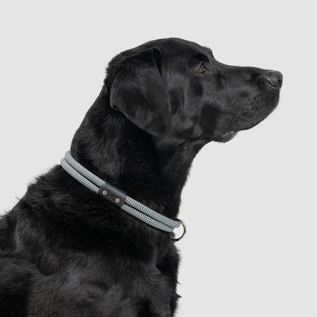 Climbing Rope Slip-On Dog Collar product image 2