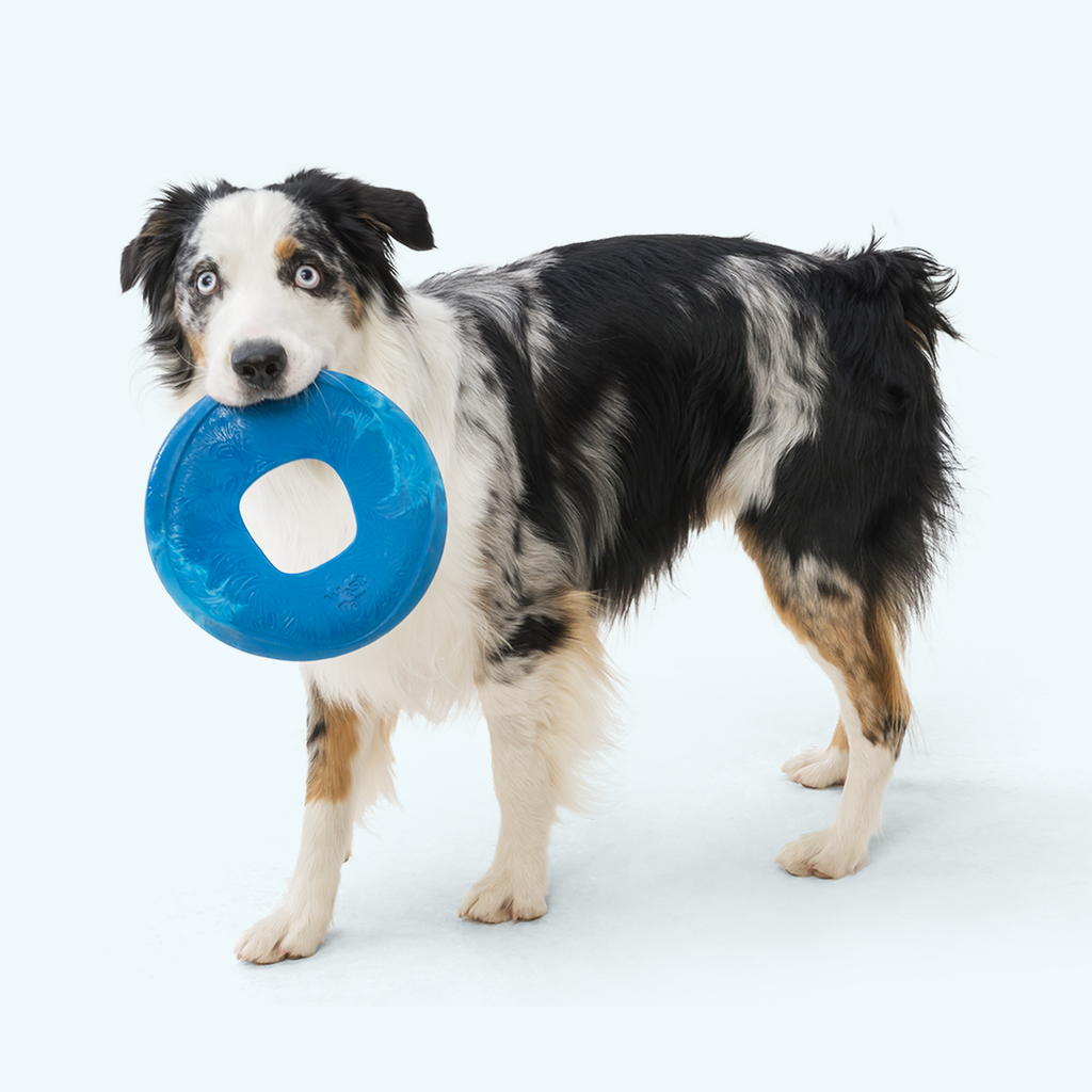 Floatable Flying Disc Dog Toy product image 4