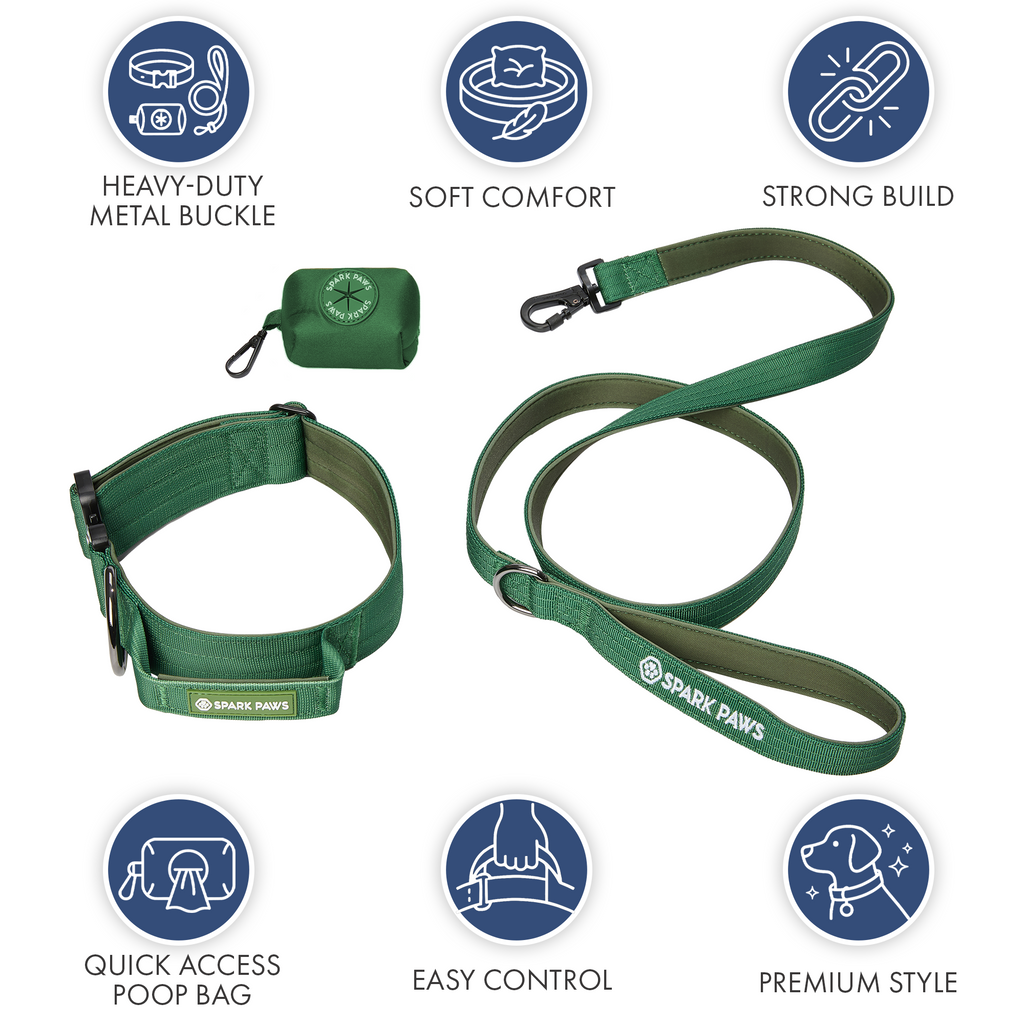 Padded Dog Collar and Leash Set product image 3