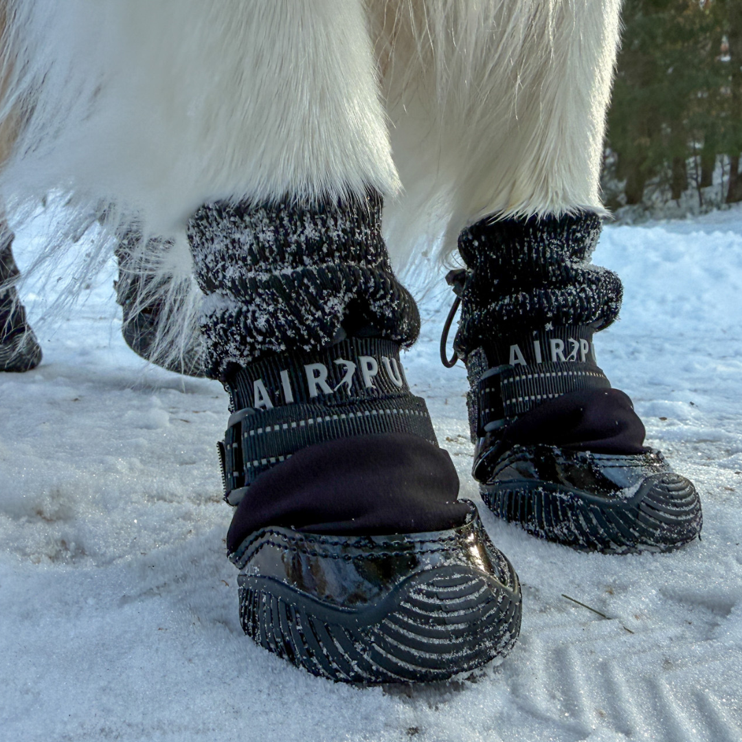 Water-Resistant Winter Dog Boots product image 5