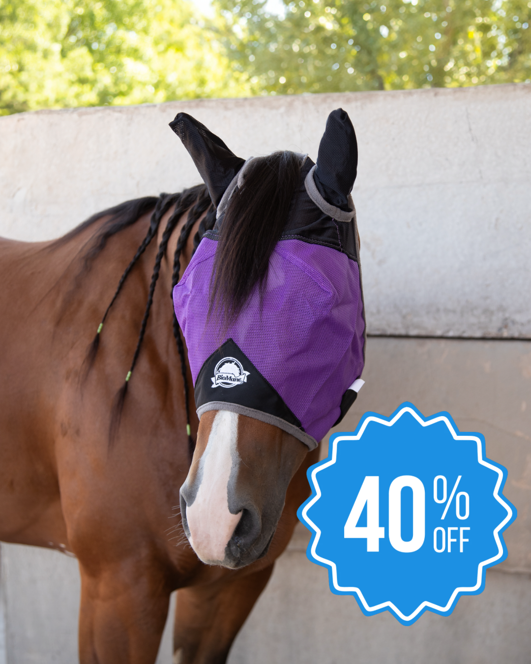 Quarter Horse Fly Mask product image 15