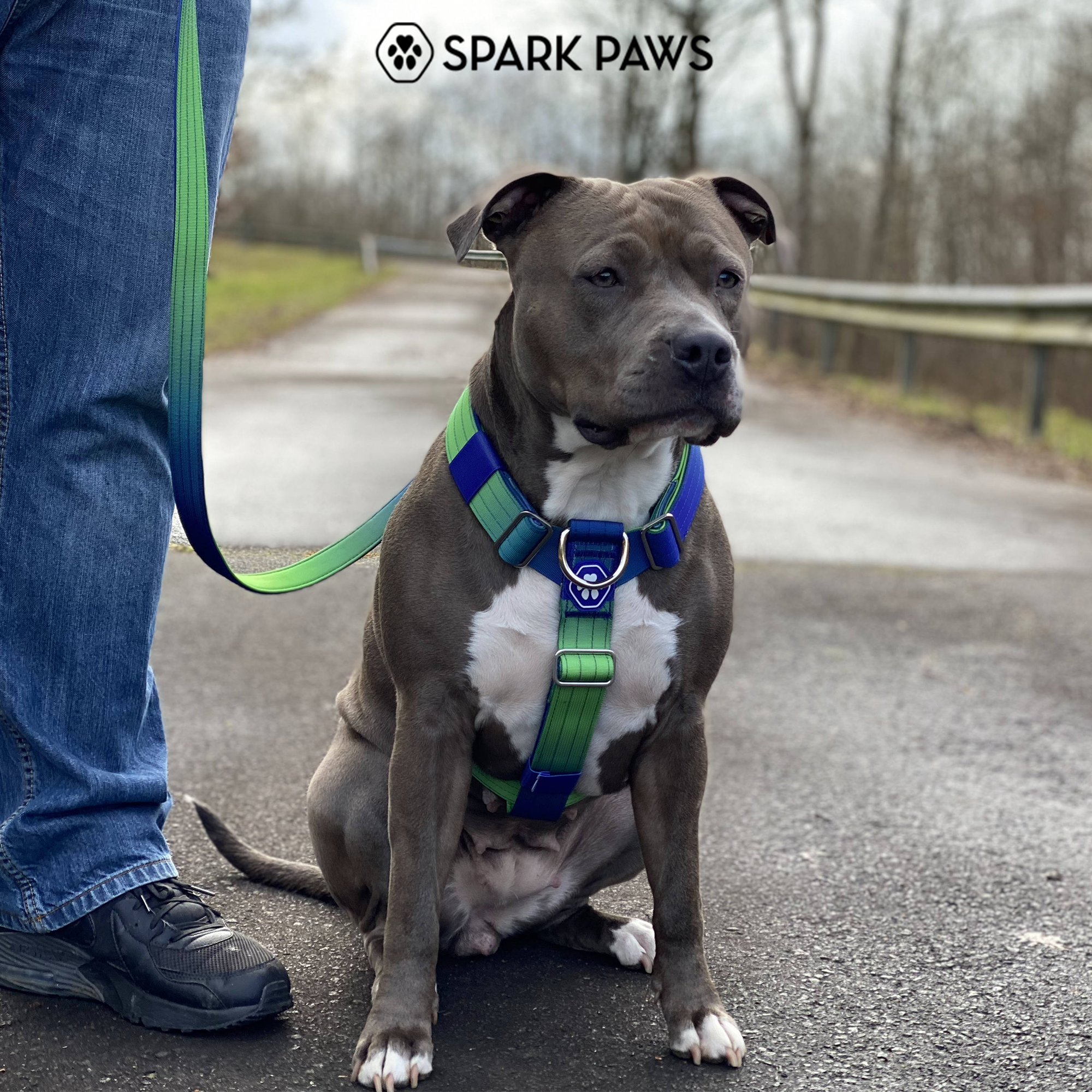 No-Pull Dog Harness Walking Set product image 21