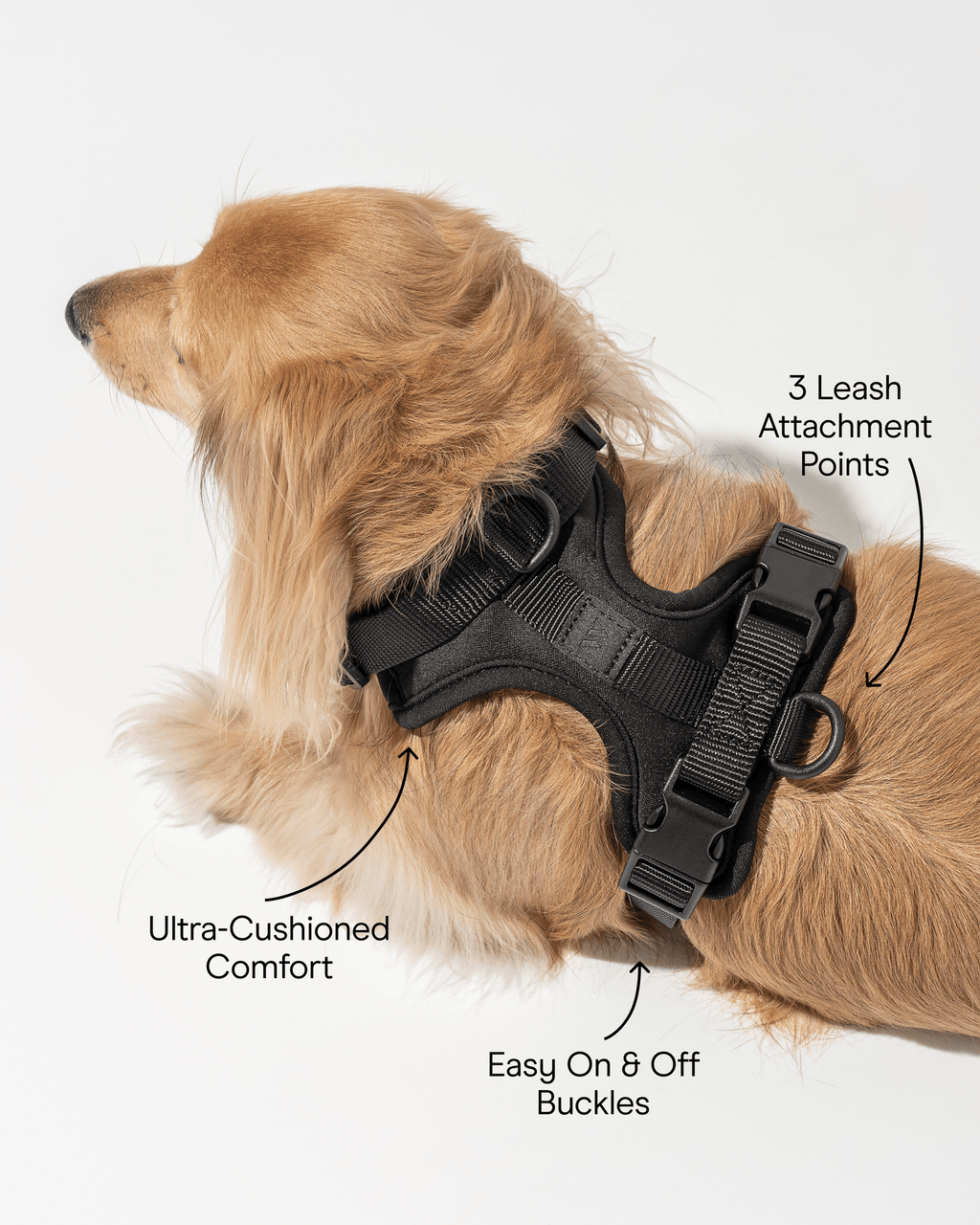Cushioned No-Pull Dog Harness product image 51