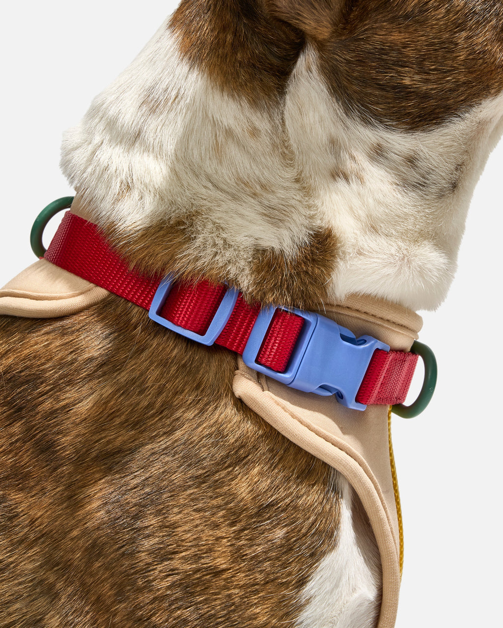 Cushioned No-Pull Dog Harness product image 12