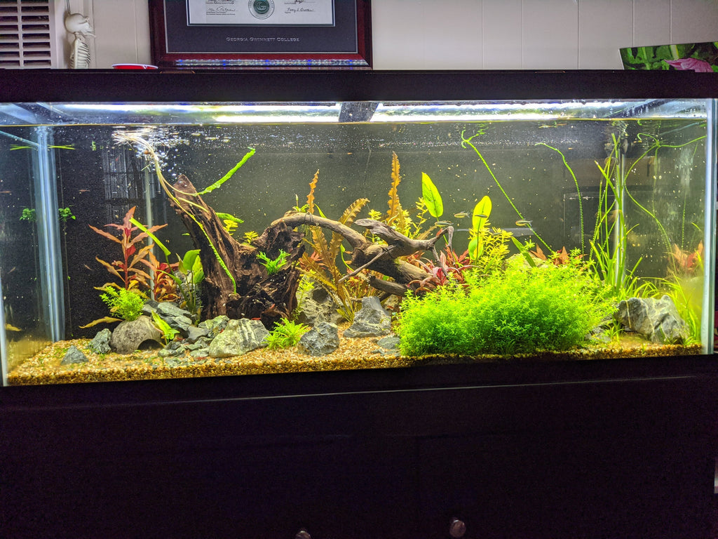 Planted Aquarium Soil Base Layer product image 14