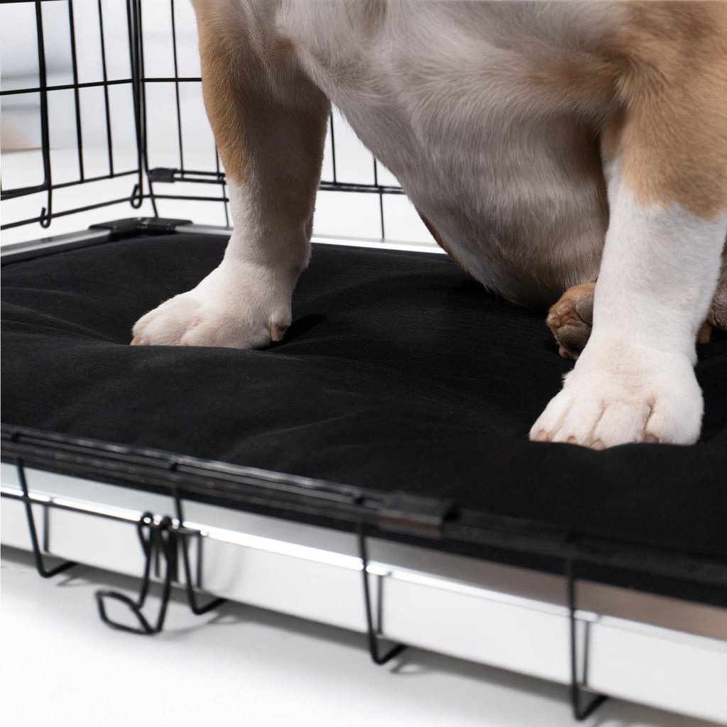 Armored Dog Bed Replacement Pad S / Obsidian Black
