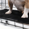Armored Dog Bed Replacement Pad S / Obsidian Black