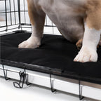 Armored Dog Bed Replacement Pad S / Obsidian Black