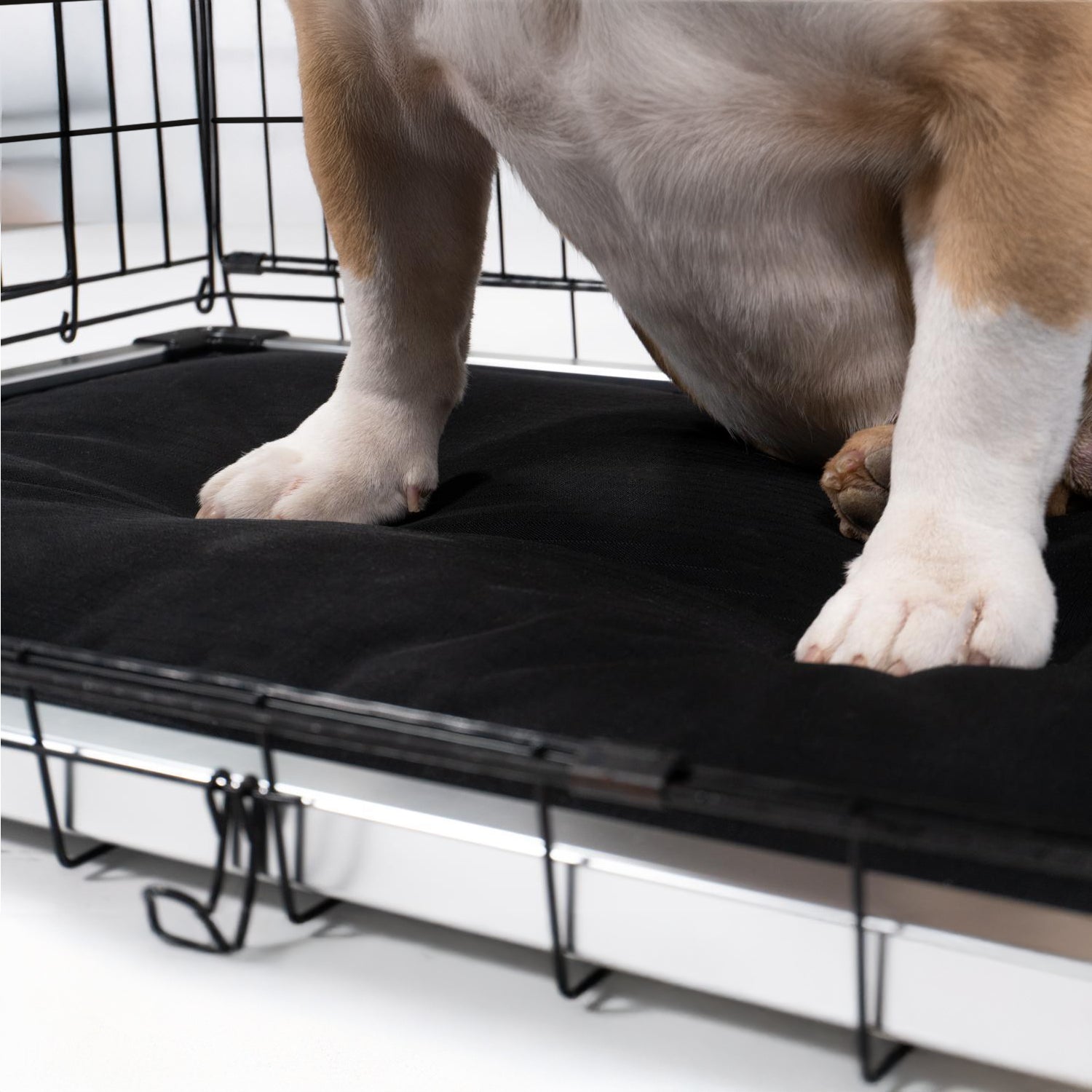 Armored Dog Bed Replacement Pad S / Obsidian Black