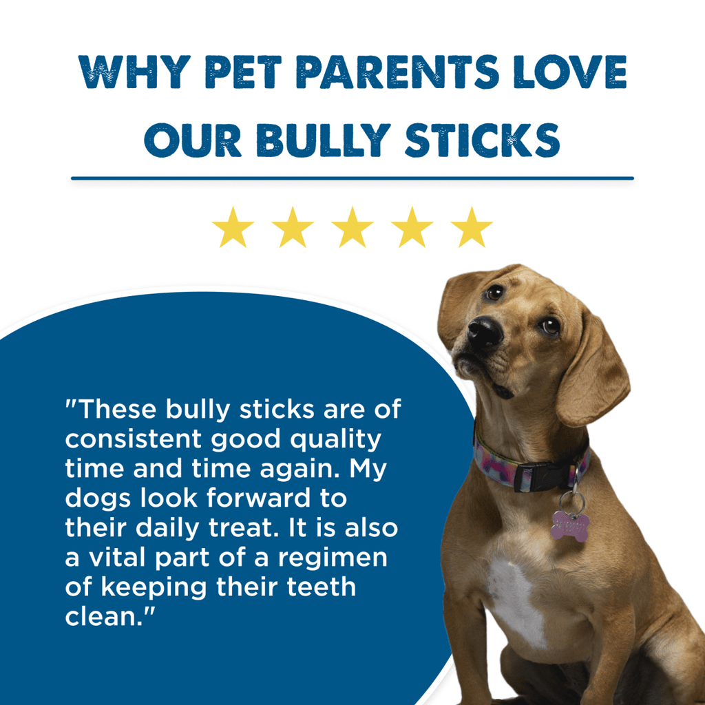 Six-Inch Odor-Free Bully Sticks product image 8