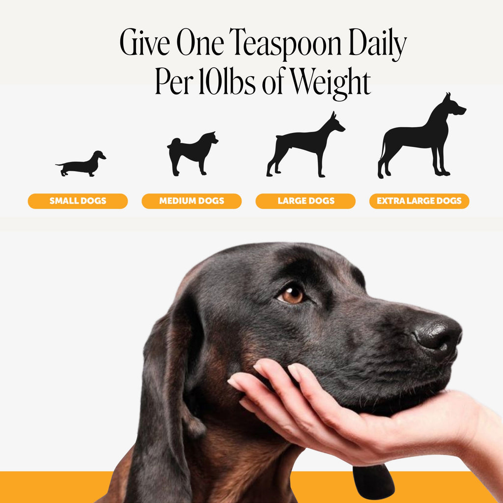 Salmon Oil Liquid Dog Supplement product image 6