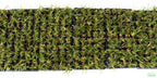 Live Dwarf Sagittaria Aquarium Plant product image 13