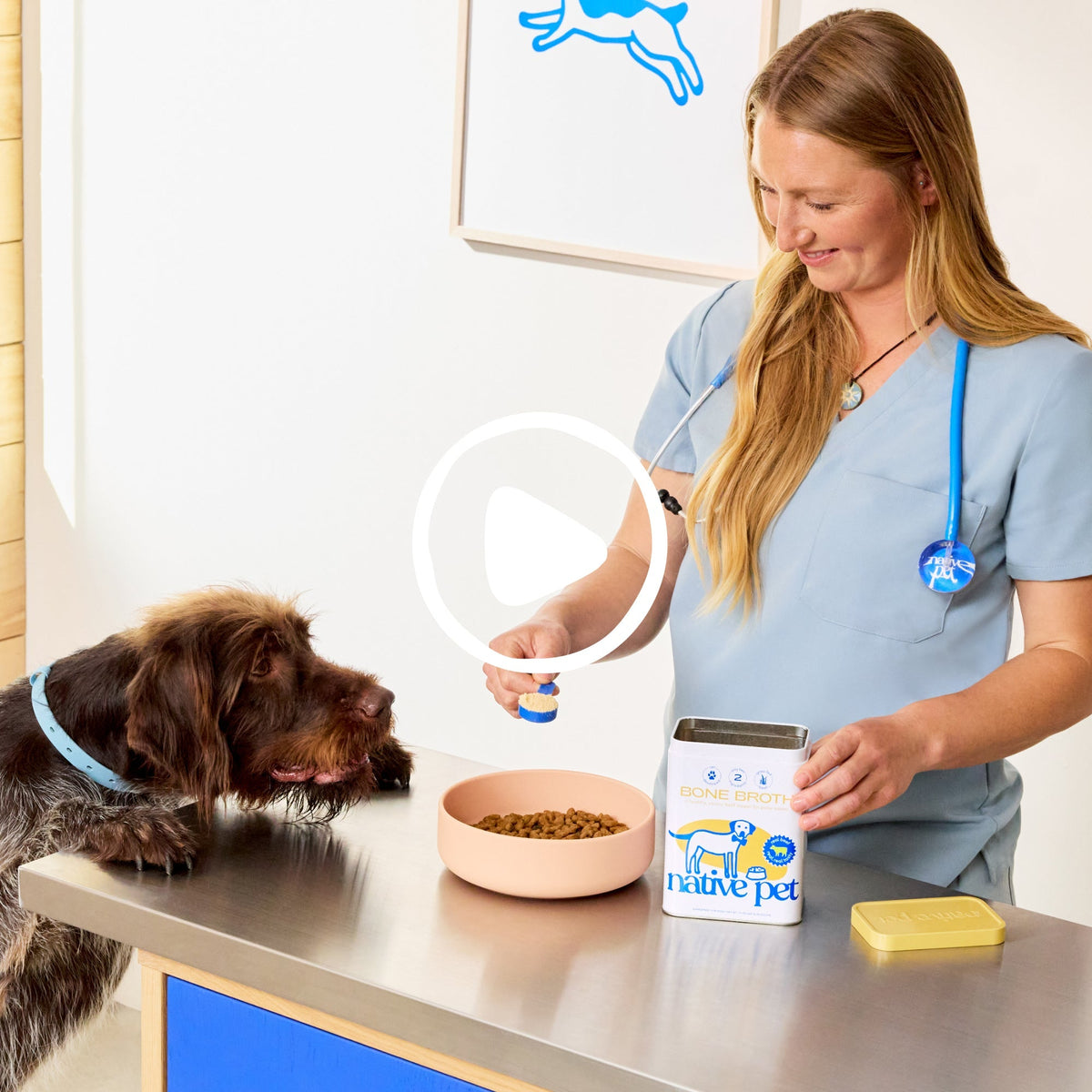 Beef Bone Broth Powder for Dogs product image 7