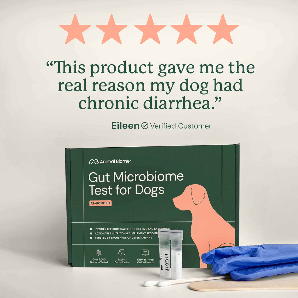 Dog Gut Microbiome Test Kit product image 11
