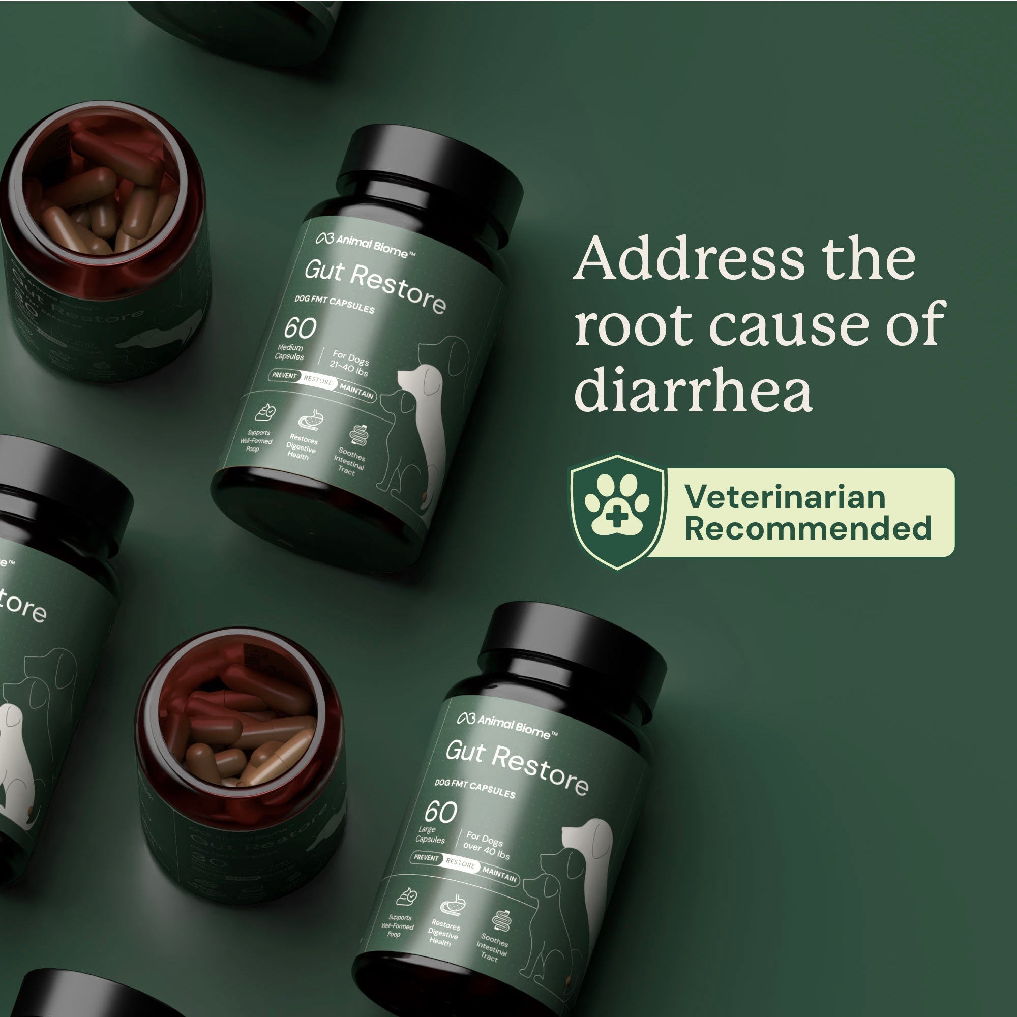 Dog Gut Microbiome Support Capsules product image 2