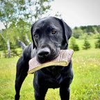 Moose Antler Paddle Dog Chew product image 11