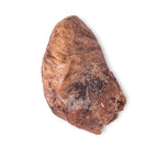 Freeze dried whole chicken hearts for dogs and cats, product image 4