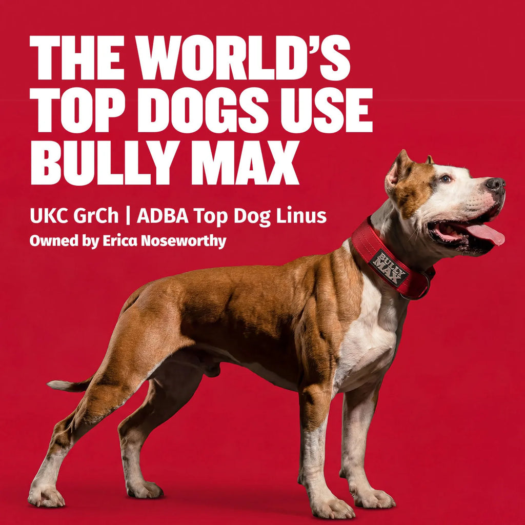 High protein beef dog treats with real beef liver, product image 11