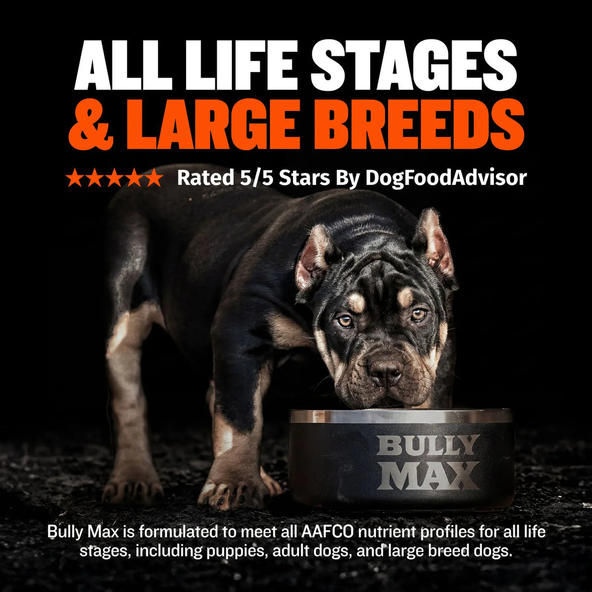 High Protein Chicken Dog Food product image 2