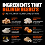 High Protein Chicken Dog Food product image 3