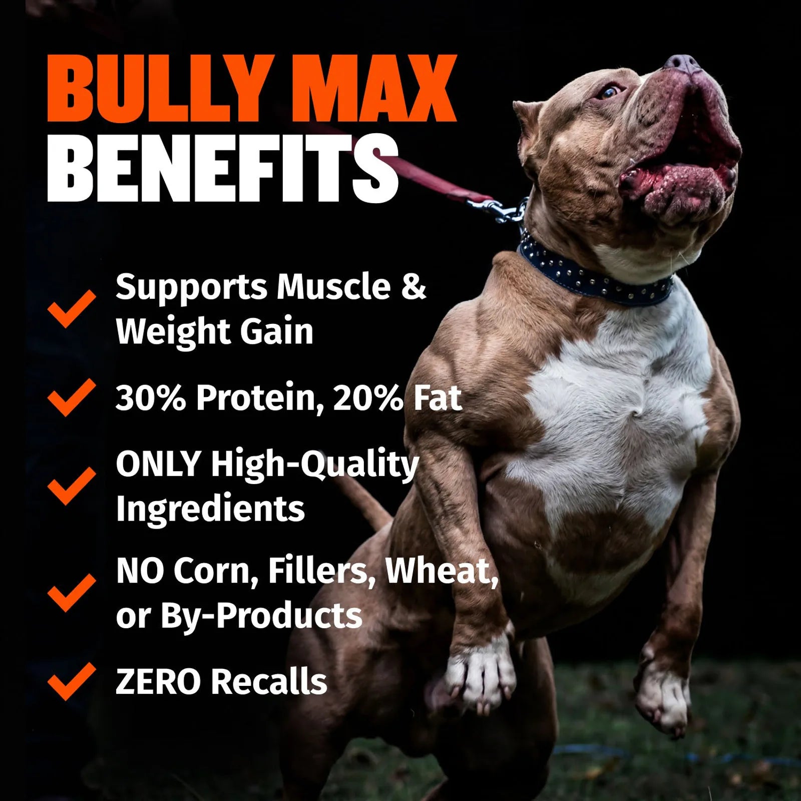High Protein Chicken Dog Food product image 4