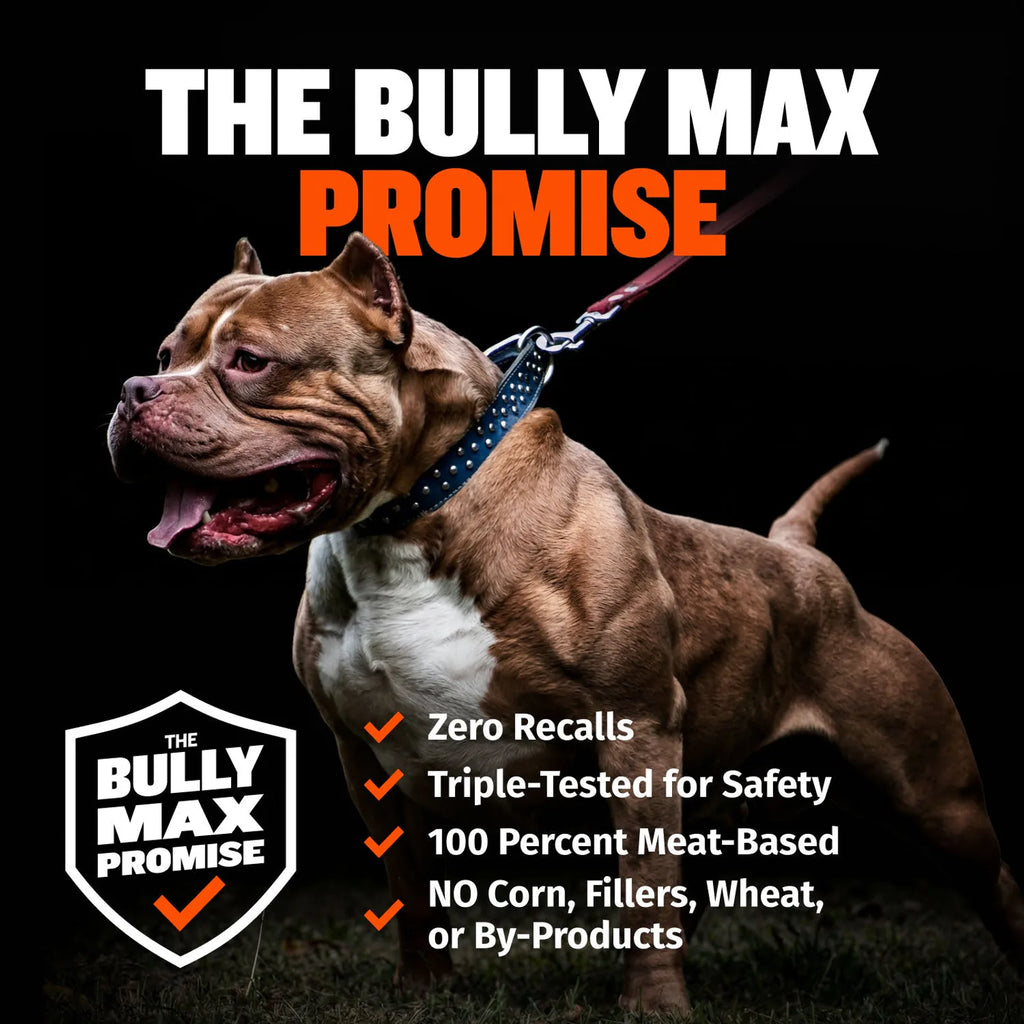 High Protein Chicken Dog Food product image 8