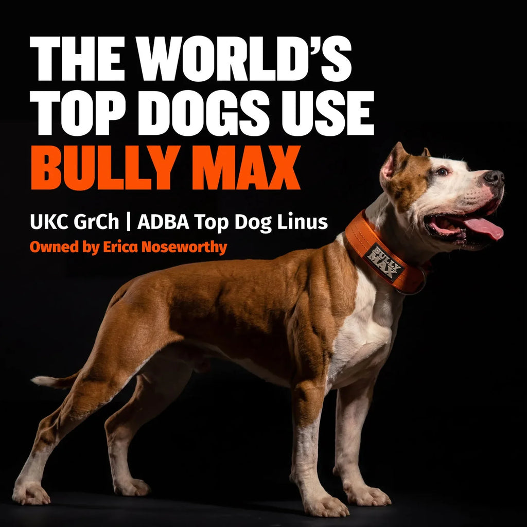 High Protein Chicken Dog Food product image 10
