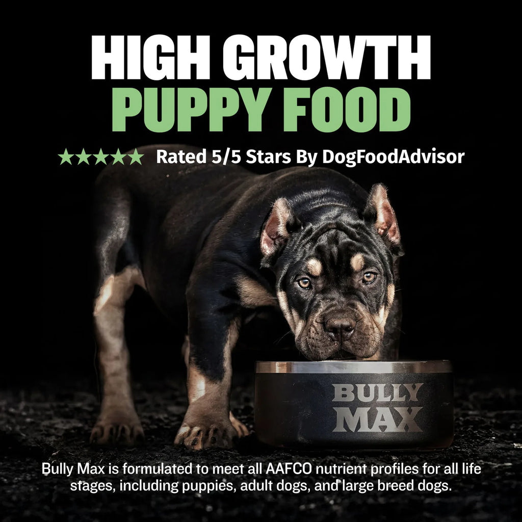High protein puppy food with lamb pork and postbiotics, product image 2