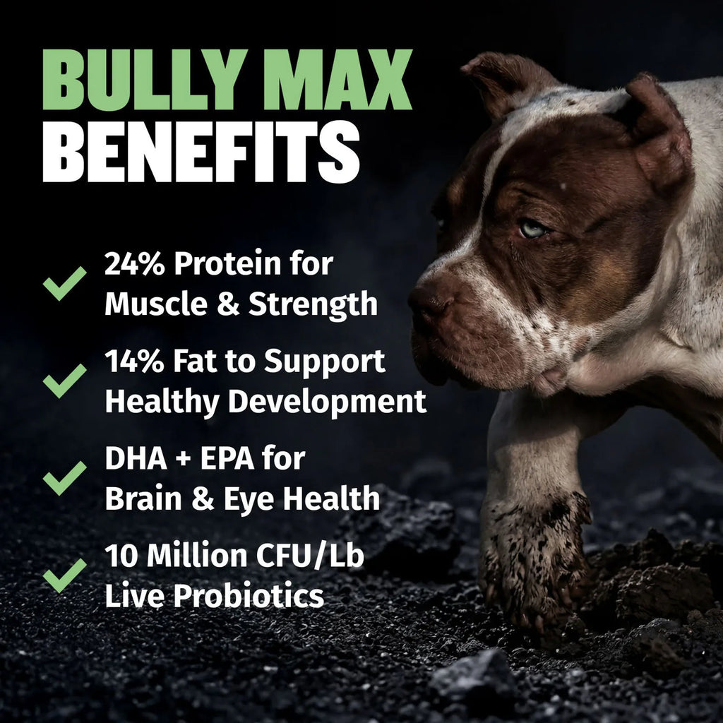 High protein puppy food with lamb pork and postbiotics, product image 4