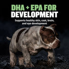 High protein puppy food with lamb pork and postbiotics, product image 5