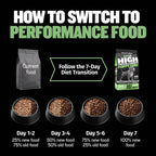 High protein puppy food with lamb pork and postbiotics, product image 7