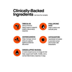 Clinically-backed hip and joint 2.0 advanced support supplement label with orange icons of fish droplets leaves and molecules