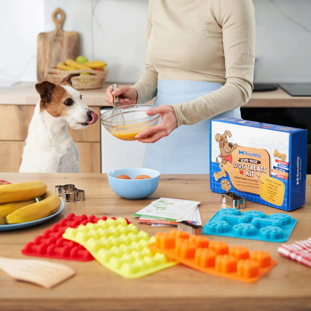 Homemade Dog Treat Kit product image 1